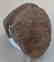 Full Groove Axe - 8