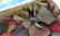 Anasazi Collection - 10