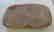 Anasazi Collection - 5