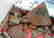 Anasazi Collection - 8