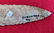 Artifact Collection with Large Clovis Point - 10
