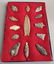 Artifact Collection with Large Clovis Point