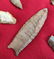 Artifact Collection with Large Clovis Point - 7