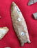 Artifact Collection with Large Clovis Point - 9
