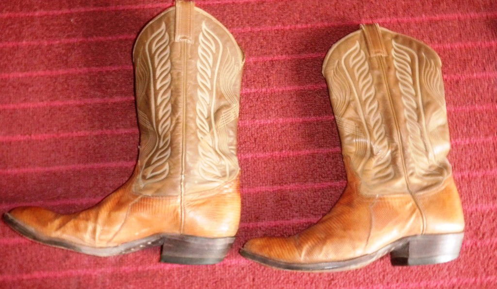 Men's Cowboy Boots: Tony Llama Cowboy Boots Size 11 D Lizard Skin Lowers- Worn Condition shipping $15.00