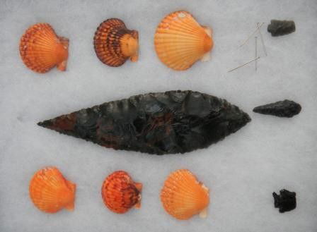 Obsidian Blade: Obsidian Blade - Central California 9 x3 inches Shipping $12.00 Frame not included