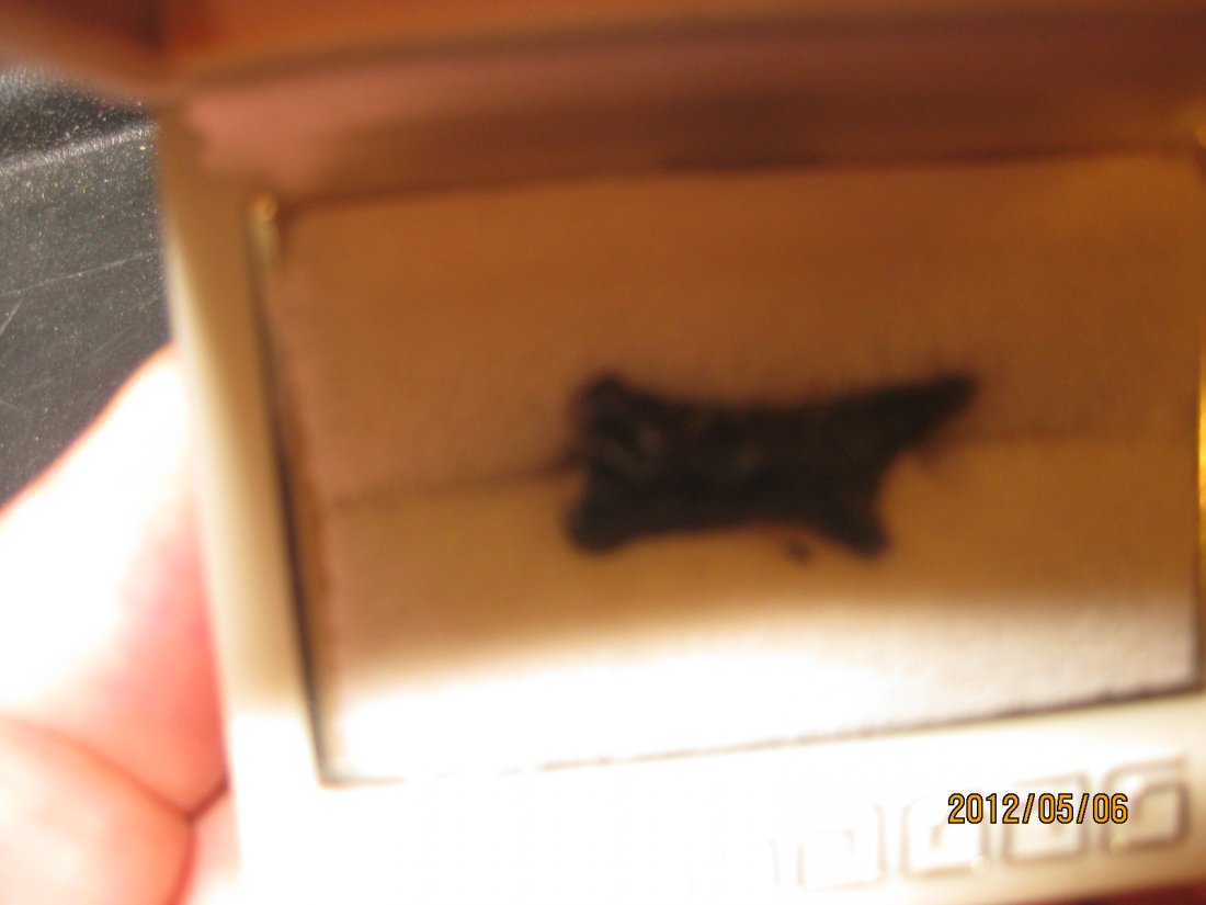 Excentric Mayan: One inch obsidian mayan excentric. Very unusual Sahpe. Guatamala. Circa 900 AD. Average condition with some minor damage. Shipping $12.50