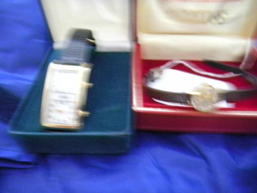 Watches: Two ladies watches. Both in original boxes. One watch is best of times for use when traveling. Two time zones. Good condition. Shipping $15.00
