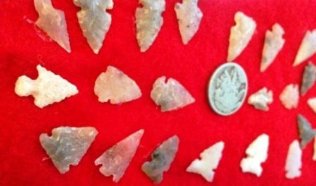 Arrowhead Frame: Arrowhead Frame including Riker Mount and Buffalo Nickel with 24 agate bird points which found in Sandia Park, New Mexico by previous owner. They measure approximately 1/2 inch to 1 inch. Shipping and