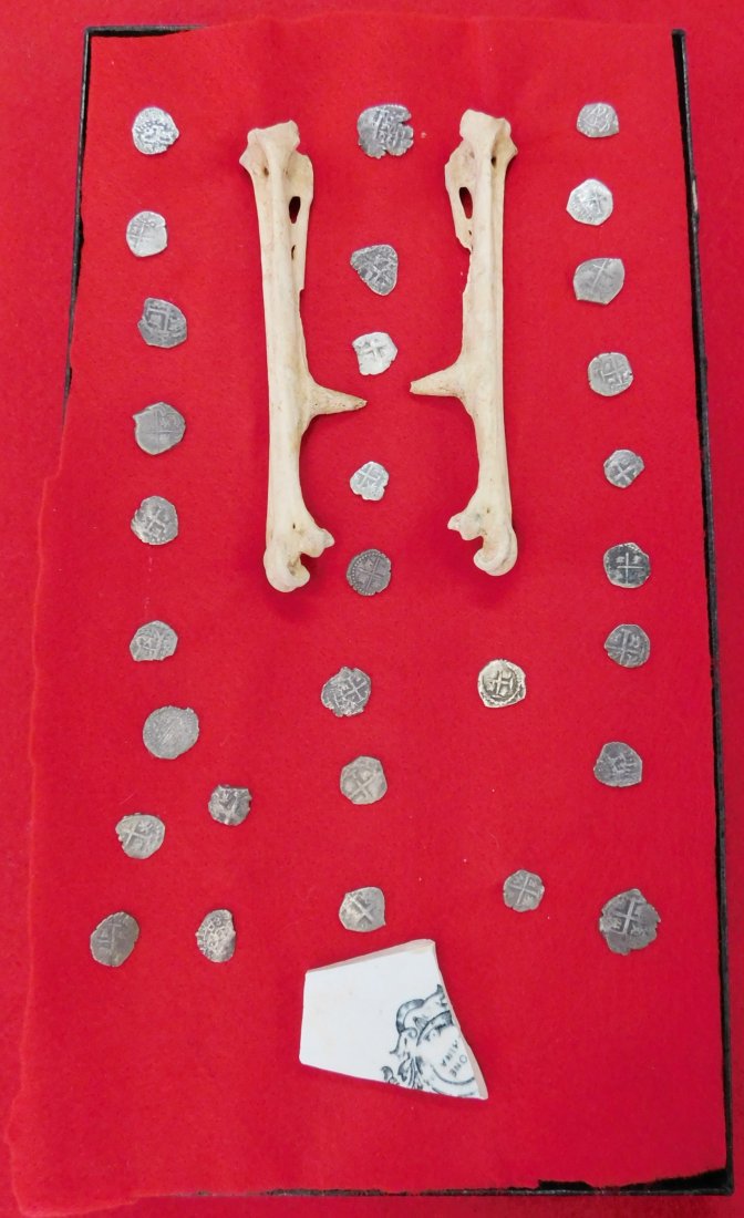 Spanish Pirate Silver Treasure: There are 30 authentic Spanish Silver Coins, two rooster leg bones which have the horns and are believe to be cock-fighting leg bones. There is an old Spanish fragmented plate. Frame is not included. 