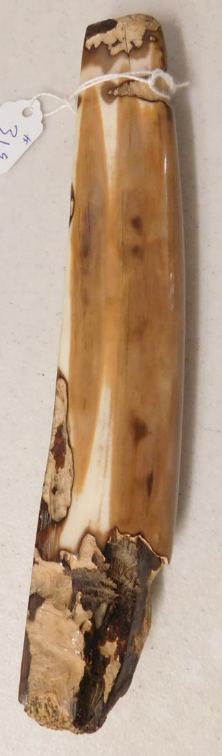 Eskimo Artifact: Eskimo Artifact, pre-historic item. Made of bone, the item is 8" x 2" x 1". Western Alaska. Drill hole, also has a groove. Condition: Good, see images. Shipping: $18.50 w/insurance and signature.