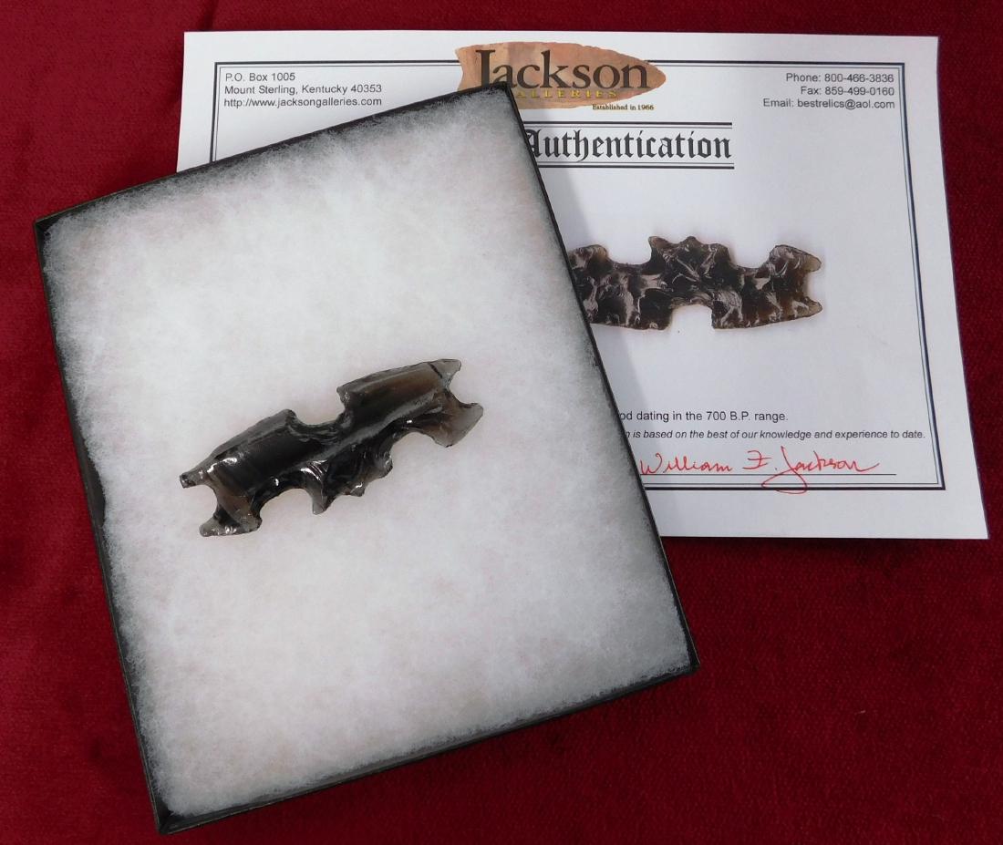 Mayan Crab Claw Eccentric w/Jackson COA: Mayan Crab Claw Eccentric w/Jackson COA, c. 700 yrs B.P. Made of obsidian, the item is 2 15/16" x 1 1/16". Yucatan Peninsula. Fine effigy Mayan piece! Frame not included. Condition: Minor nick on head