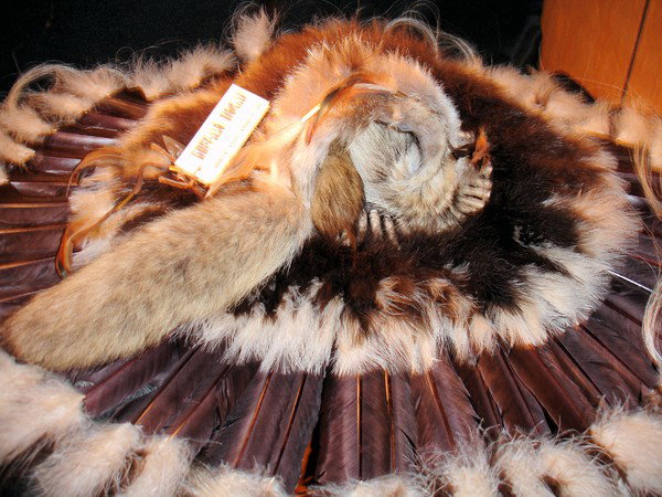 Native American Head Dress: brown head dress coyote tail nice coloring
