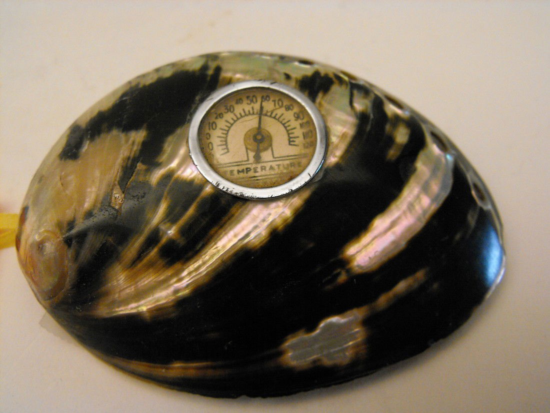 Abalone Shell: Thermometer, Very Unusual! Made in USA