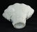 A BLANC-DE-CHINE LIBATION CUP, CHINESE - 4