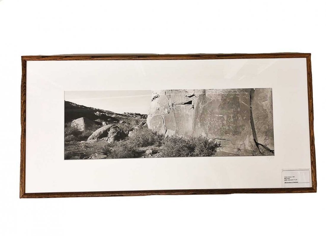 MARY PECK, American, B. 1952 (1 of 1)