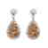 Pair of Diamond and Diamond Earrings