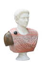 Various Marble Bust of the Emperor Augustus