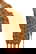 item-204987059=4