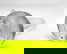 item-205522026=8
