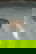 item-208420393=4