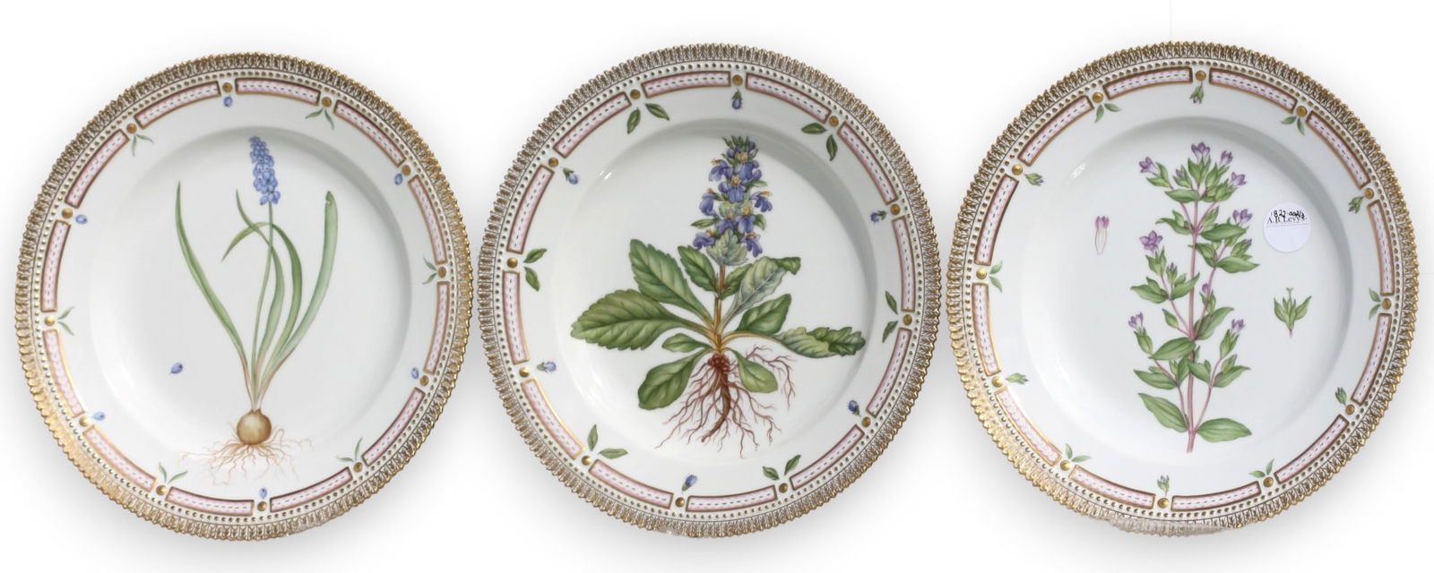 Three Flora Danica Botanical Dinner Plates: Three Flora Danica Botanical Dinner Plates number 3549, each 10 in. diameter, marked Royal Copenhagen, with painters marks and identifying flower title. Each hand painted, with center recess, the bord