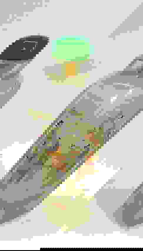 Good Chinese Interior Painted Glass Snuff Bottle