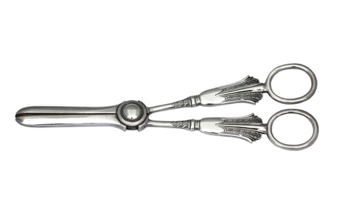 Silver Grape Scissors