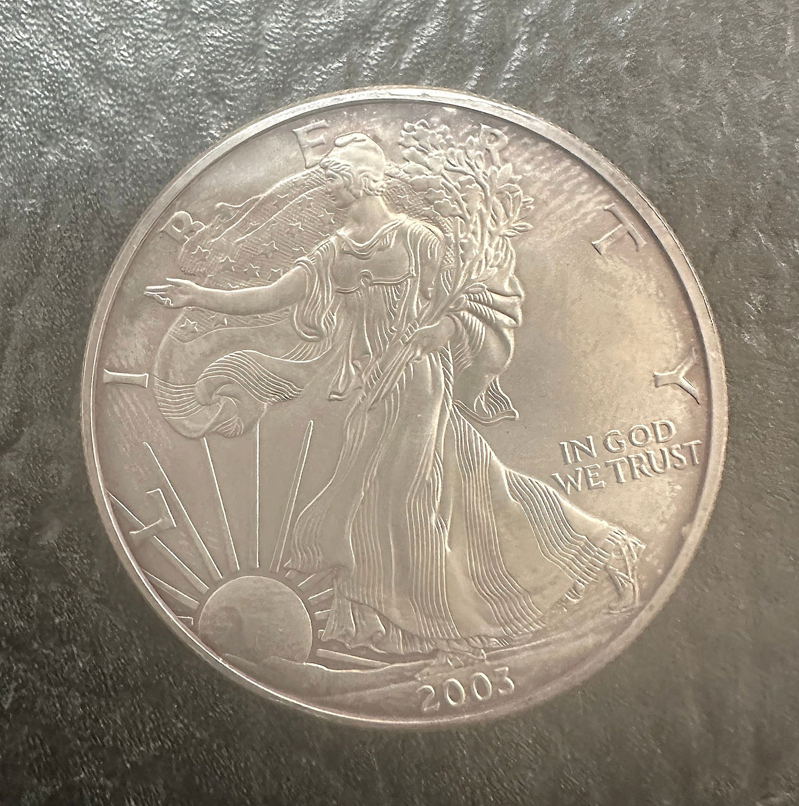 United States Liberty Silver Dollar, 2003