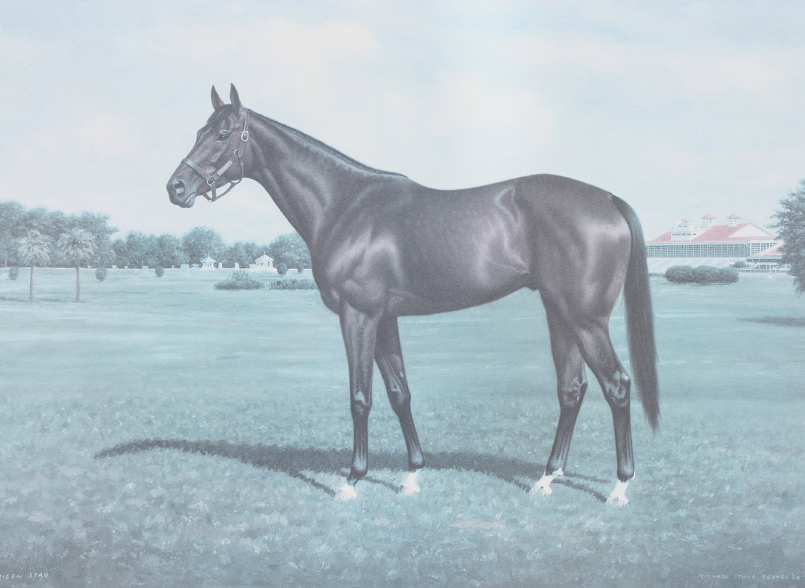 Richard Stone, (American), Sporting Risen Star, Offset Lithograph: Richard Stone, (American), Sporting Risen Star, Offset Lithograph 1988 Winner of the Preakness, Belmont and other races. Signed and numbered in pencil, 184/850, published 1988, Racing Scene Gallery. 2