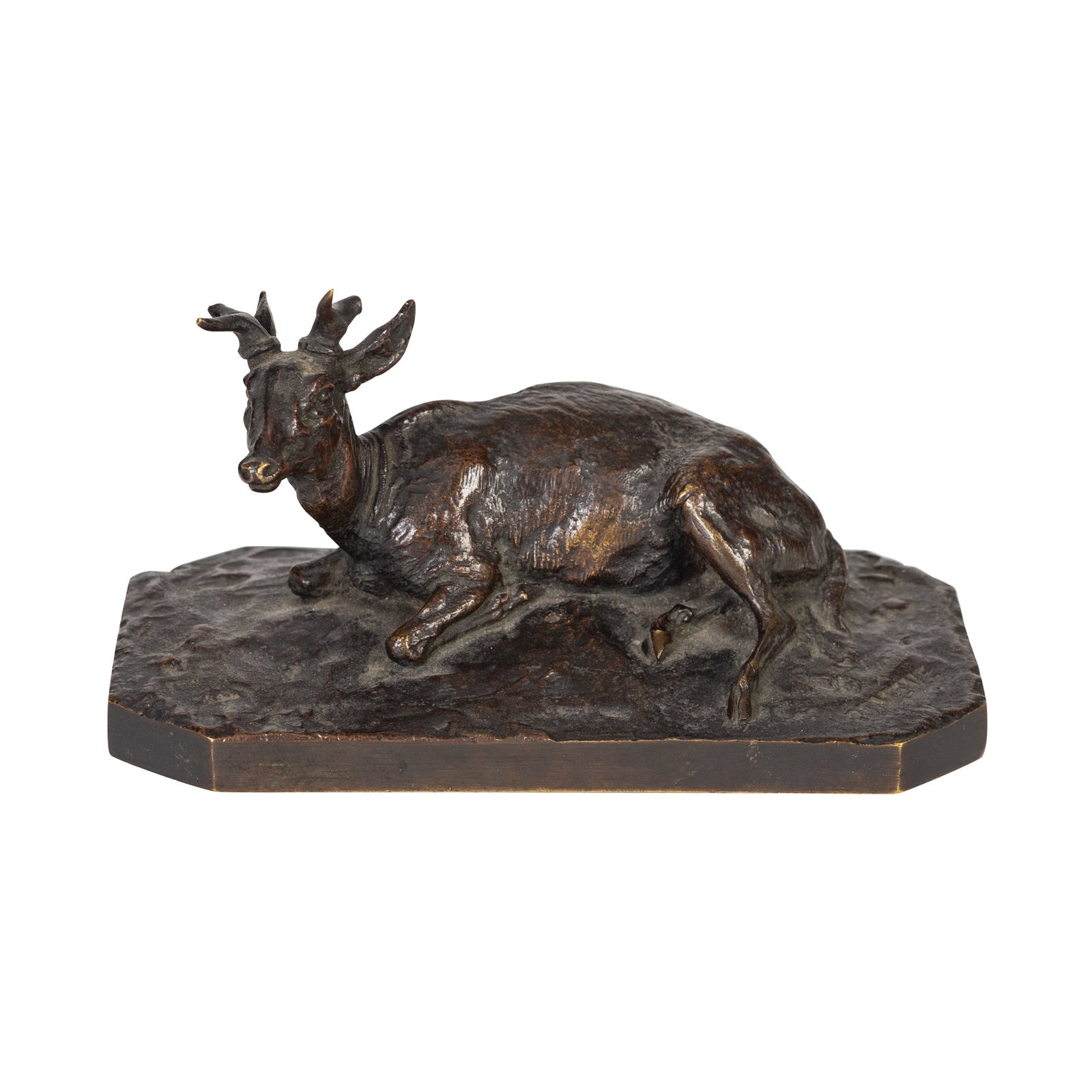 Pierre-Jules MÈNE (French, 1810-1879), Sculpture: Pierre-Jules Mene (French, 1810-1879), Sculpture signed in the cast PJ MENE Bronze of a young stag, with olive patina, finely cast and chiseled Height 2.5 in., Width 4.75 in., Depth 2.75 in.