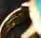 item-19596166=3