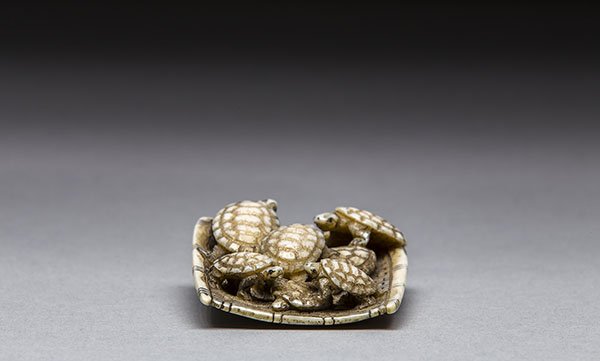 JAPANESE CARVED IVORY NETSUKE OF TURTLES ON A BOARD: VERY FINE JAPANESE CARVED IVORY NETSUKE OF TURTLES ON A BOARD Signed. Height 1 3/4 in. (4.4 cm.) Width 1 1/2 in. (3.8 cm.)