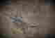 item-30804148=7
