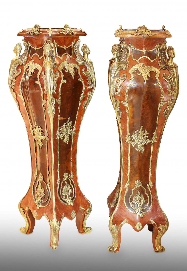 PAIR OF LOUIS XV STYLE BRONZE MTD. MAHOGANY PEDESTALS (1 of 1)