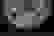 item-79408325=4