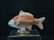 ROYAL CROWN DERBY FISH - 7 1/2" x 2" x 4"