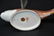 ROYAL CROWN DERBY FISH - 7 1/2" x 2" x 4" - 6