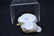 HEREND PORCELAIN DUCKS - 3" x 4 1/2" x 3" - 3