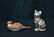 ROYAL CROWN DERBY SEATED CAT & ROYAL CROWN