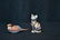 ROYAL CROWN DERBY SEATED CAT & ROYAL CROWN - 8
