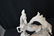 LARGE MATTE FINISH LLADRO HORSE GROUP - 7