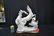 LARGE MATTE FINISH LLADRO HORSE GROUP - 9
