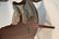 CARVED LAMINATED ROSEWOOD ARM CHAIR - 9