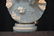 19thC CONTINENTAL MARBLE BUST - 4