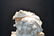 19thC CONTINENTAL MARBLE BUST - 5