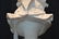 19thC CONTINENTAL MARBLE BUST - 7