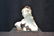 WHITE ALABASTER BUST OF WOMAN SURROUNDED - 7