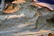GERMAN PORCELAIN FIGURAL GROUPING - 9