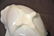 STEUBEN CALCITE ART GLASS CENTERPIECE BOWL - 7